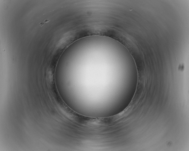 X0000091000086200708161947