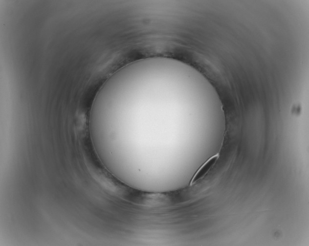 X0000091000087200708161947