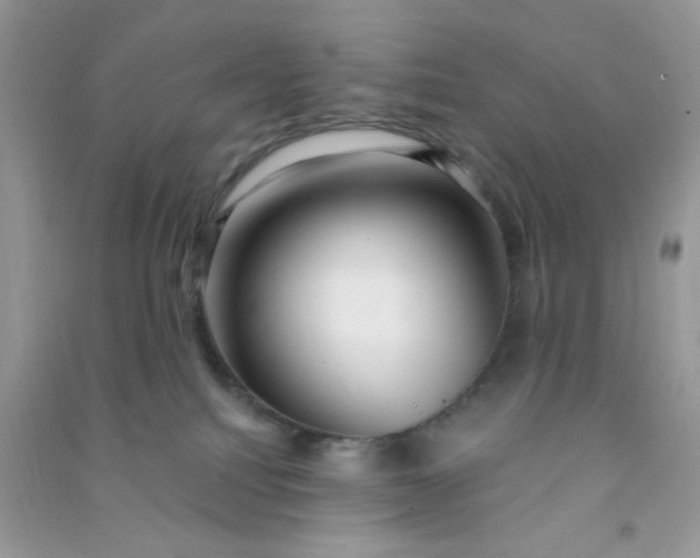 X0000091000088200708161947
