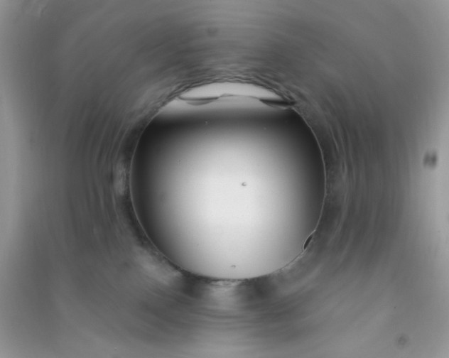 X0000091000090200708161947