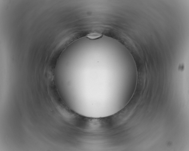X0000091000091200708161947