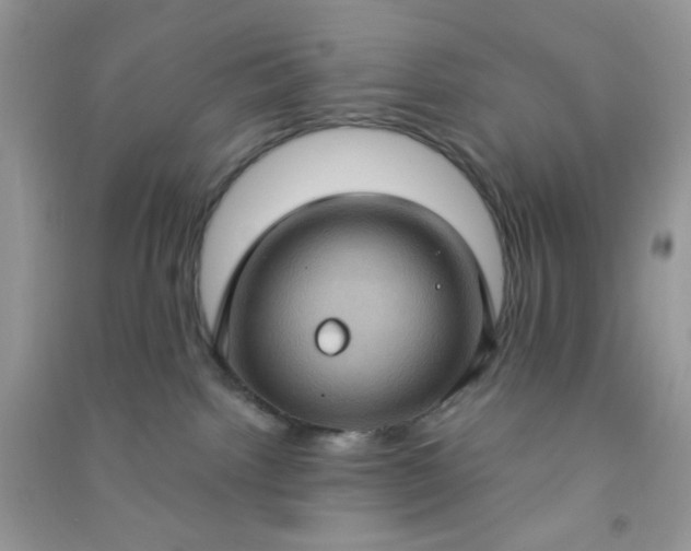 X0000091000092200708161947