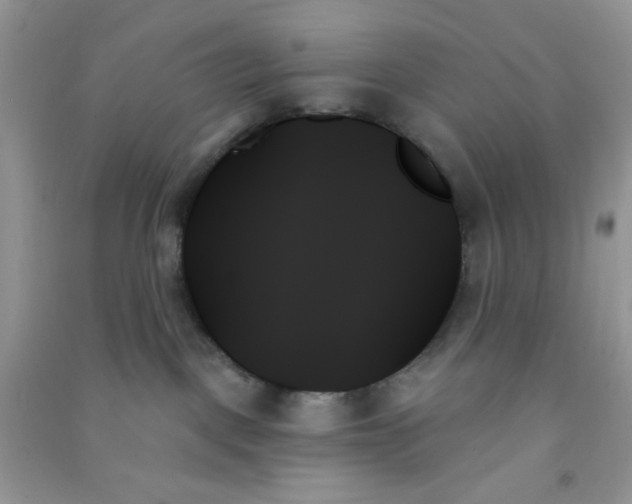 X0000091000093200708161947