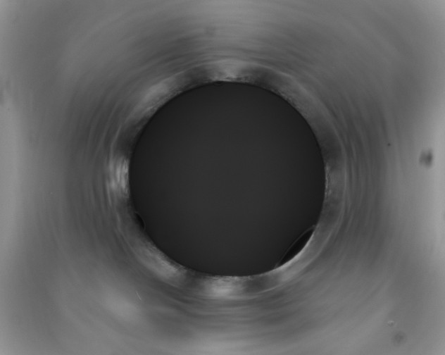 X0000091000094200708161947