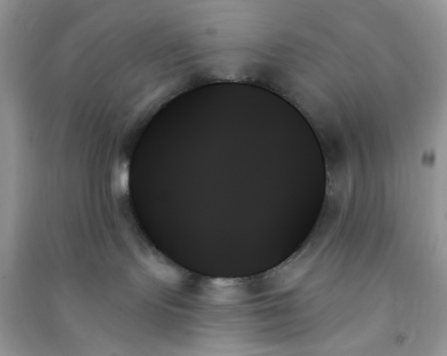 X0000091000095200708161947