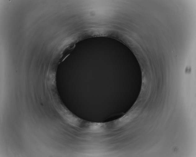 X0000091000096200708161947