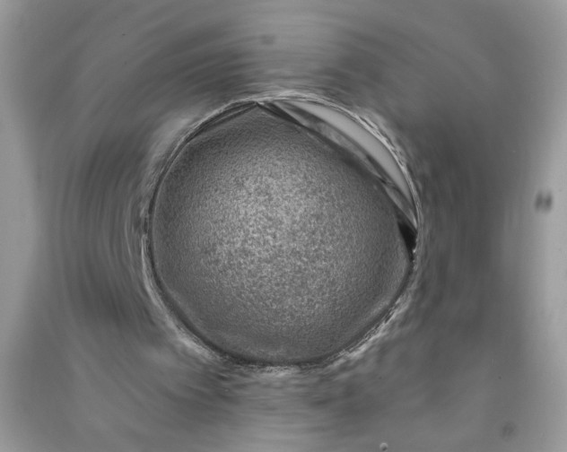 X0000091000097200708161946