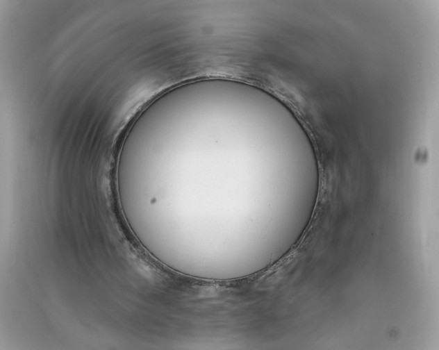 X0000091000098200708161946