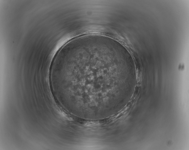X0000091000099200708161946