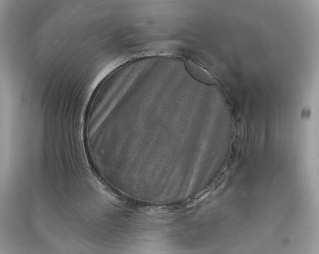 X0000091000100200708161946