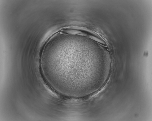 X0000091000101200708161946