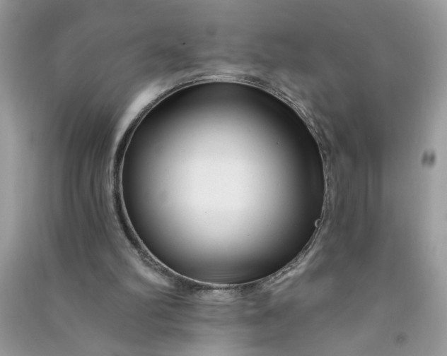 X0000091000102200708161946