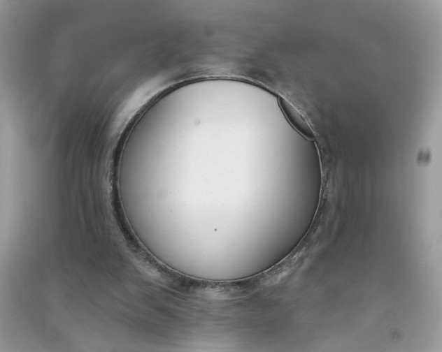 X0000091000103200708161946
