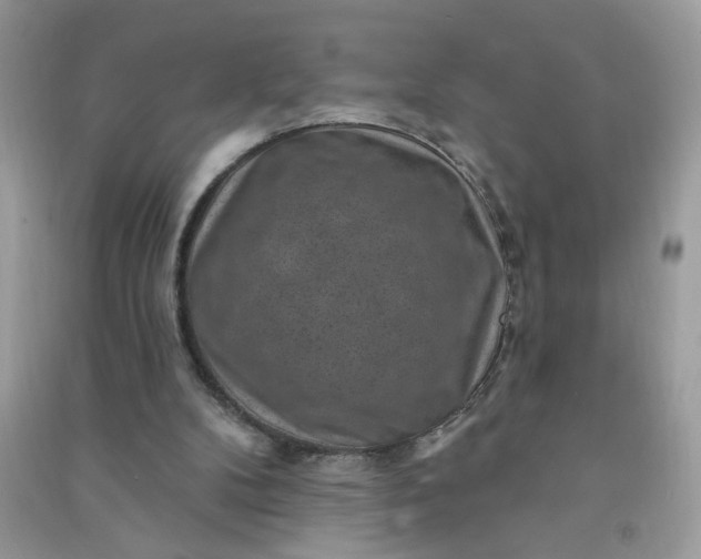 X0000091000104200708161946