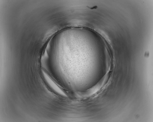 X0000091000105200708161946