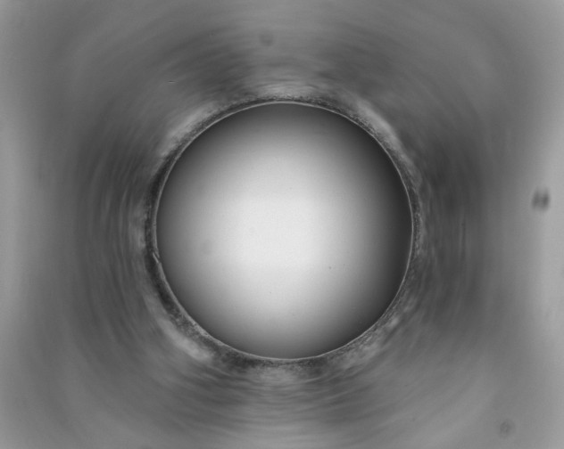 X0000091000106200708161946