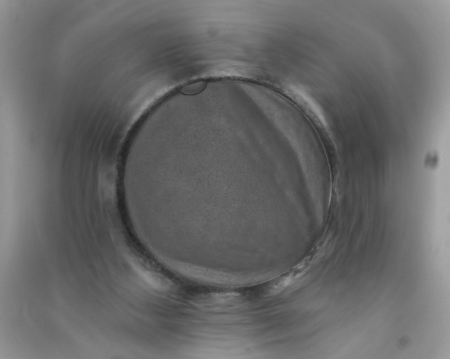 X0000091000108200708161946