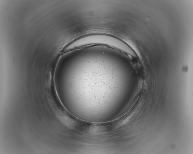 X0000091000109200708161946