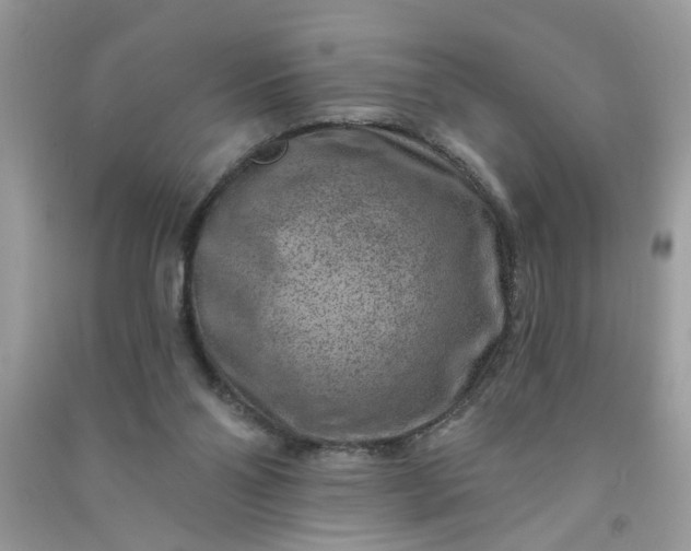 X0000091000110200708161946