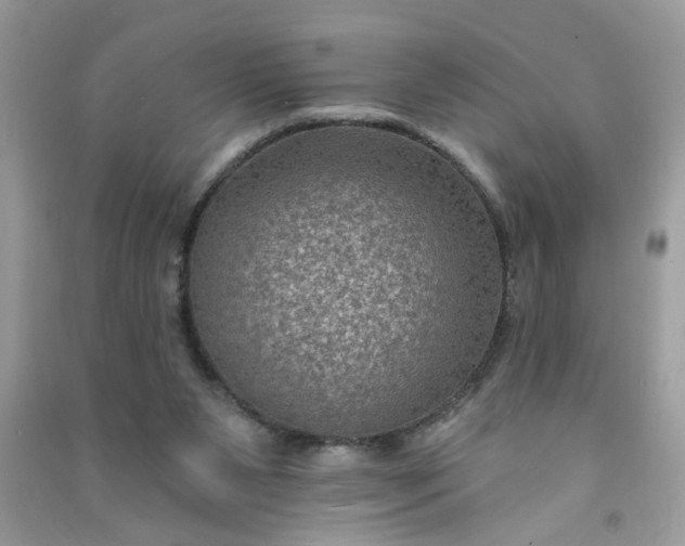 X0000091000111200708161946