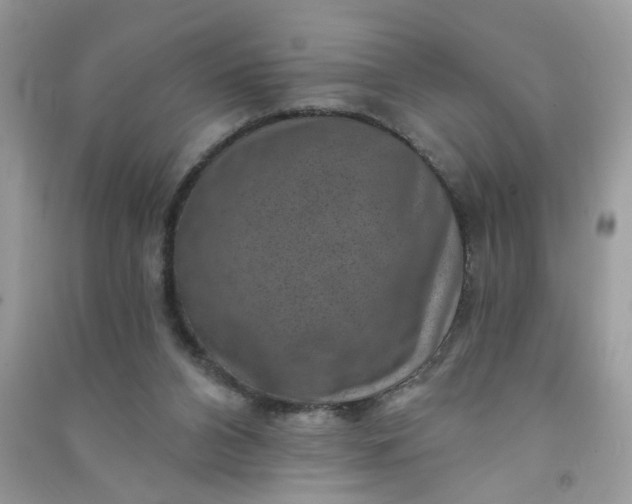 X0000091000112200708161946