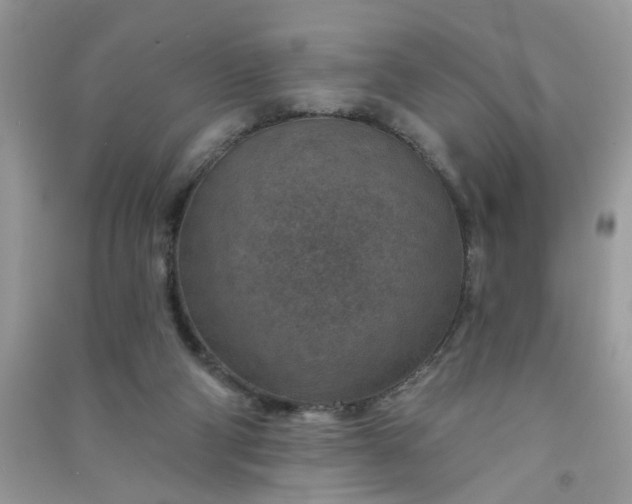 X0000091000114200708161946