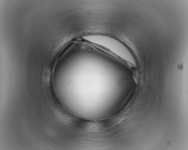 X0000091000115200708161946