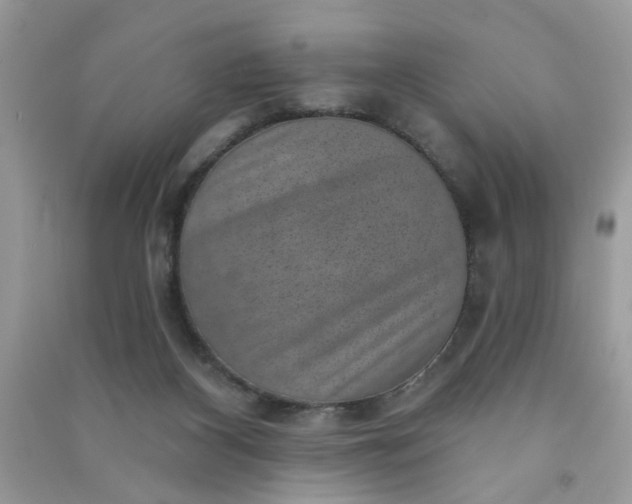 X0000091000116200708161946