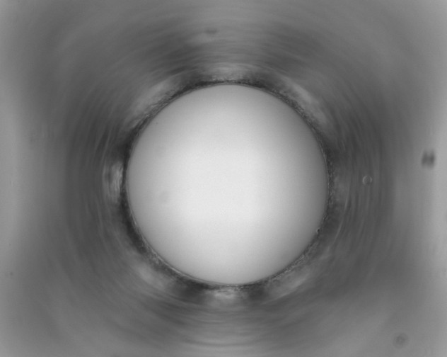 X0000091000118200708161946