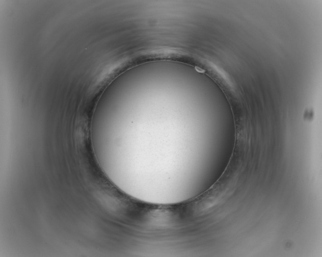 X0000091000119200708161946
