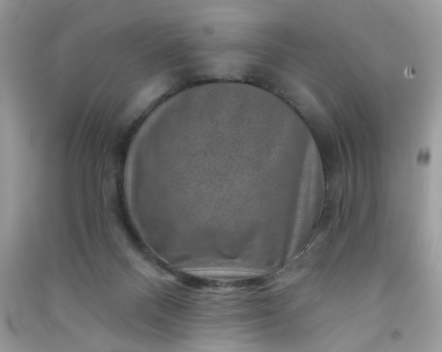 X0000091000120200708161946
