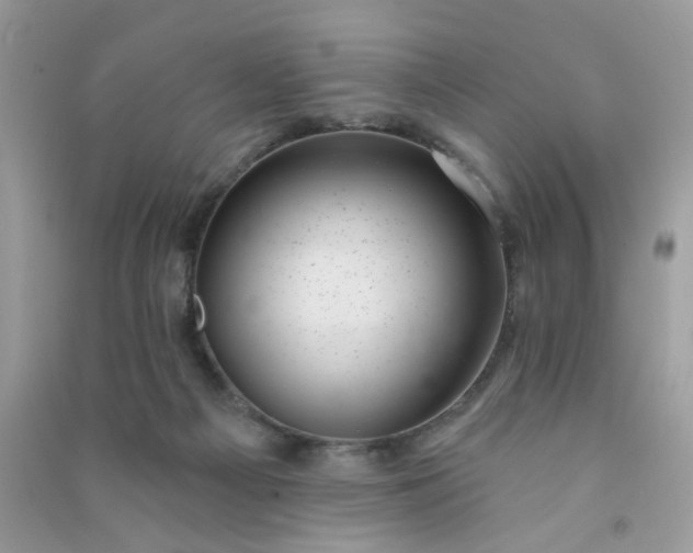 X0000091000121200708161946