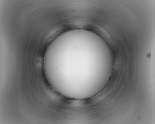 X0000091000122200708161946