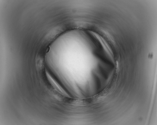 X0000091000123200708161946