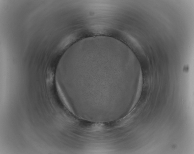 X0000091000124200708161946