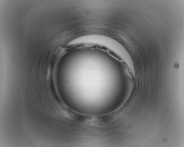X0000091000125200708161946