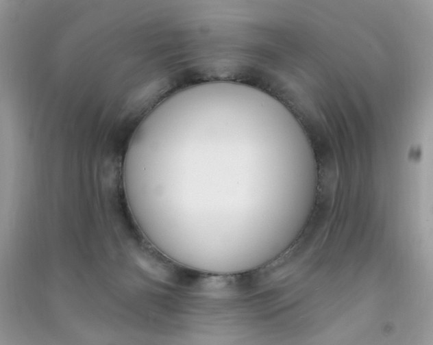 X0000091000126200708161946