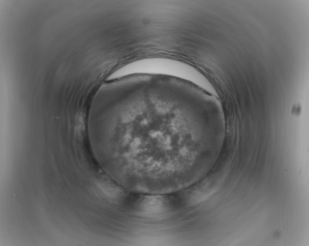 X0000091000127200708161946
