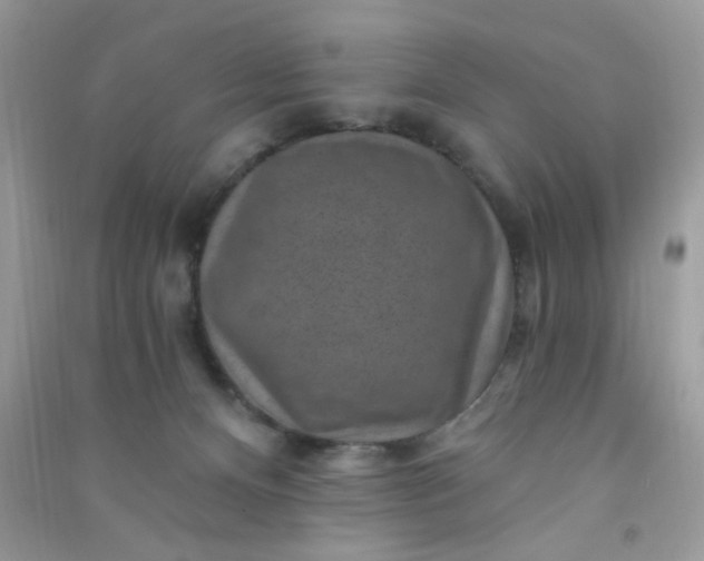X0000091000128200708161946
