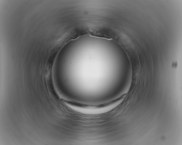 X0000091000129200708161946