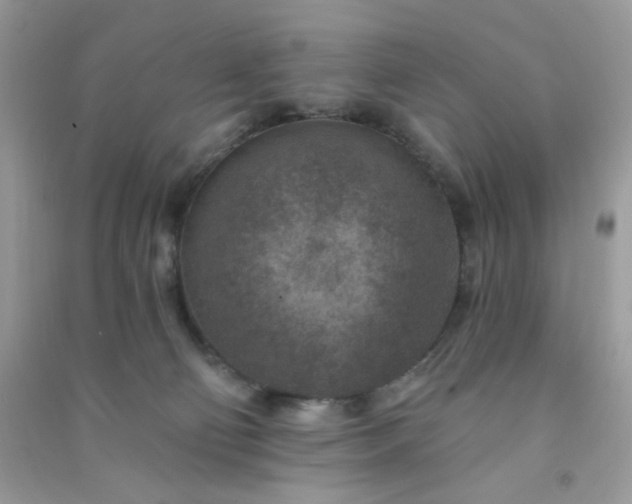 X0000091000130200708161946