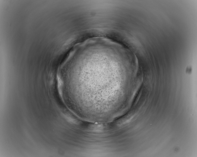 X0000091000131200708161946