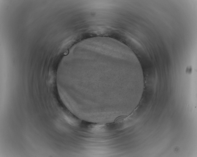 X0000091000132200708161946