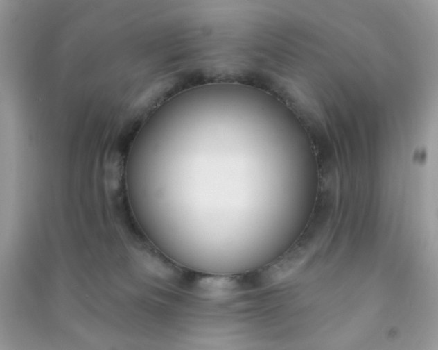 X0000091000133200708161946