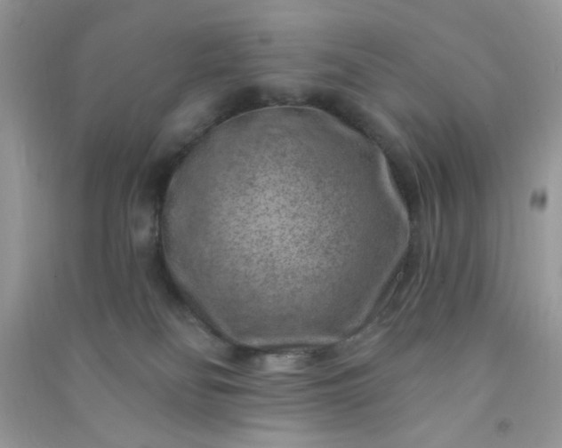 X0000091000134200708161946