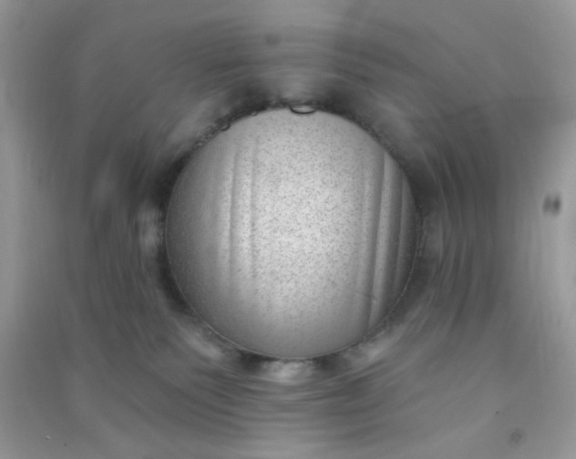 X0000091000135200708161946