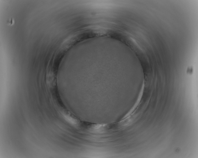 X0000091000136200708161946