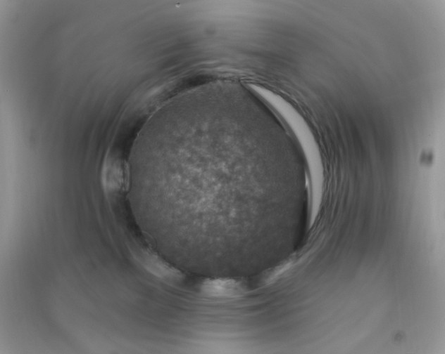 X0000091000137200708161946