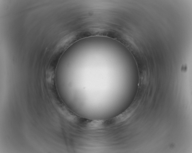 X0000091000138200708161946