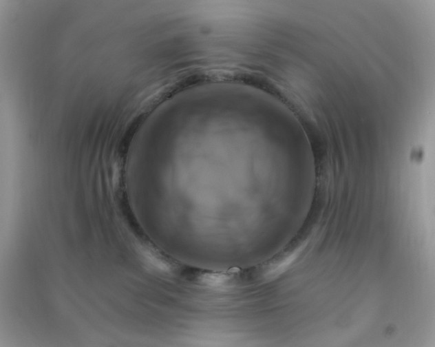 X0000091000139200708161946